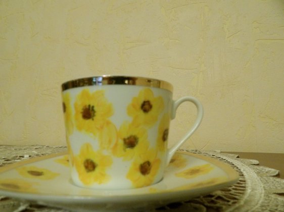 kwiat słonecznika 2