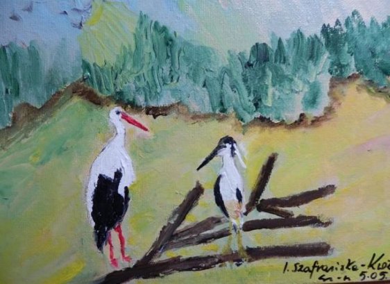 Ślepowron I Bocian