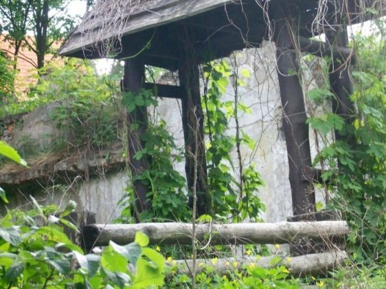 Szczecin-Klęskowo ruiny dworku Dohrnów 