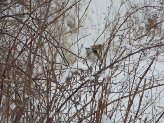 Powitanie Wiosny 2013